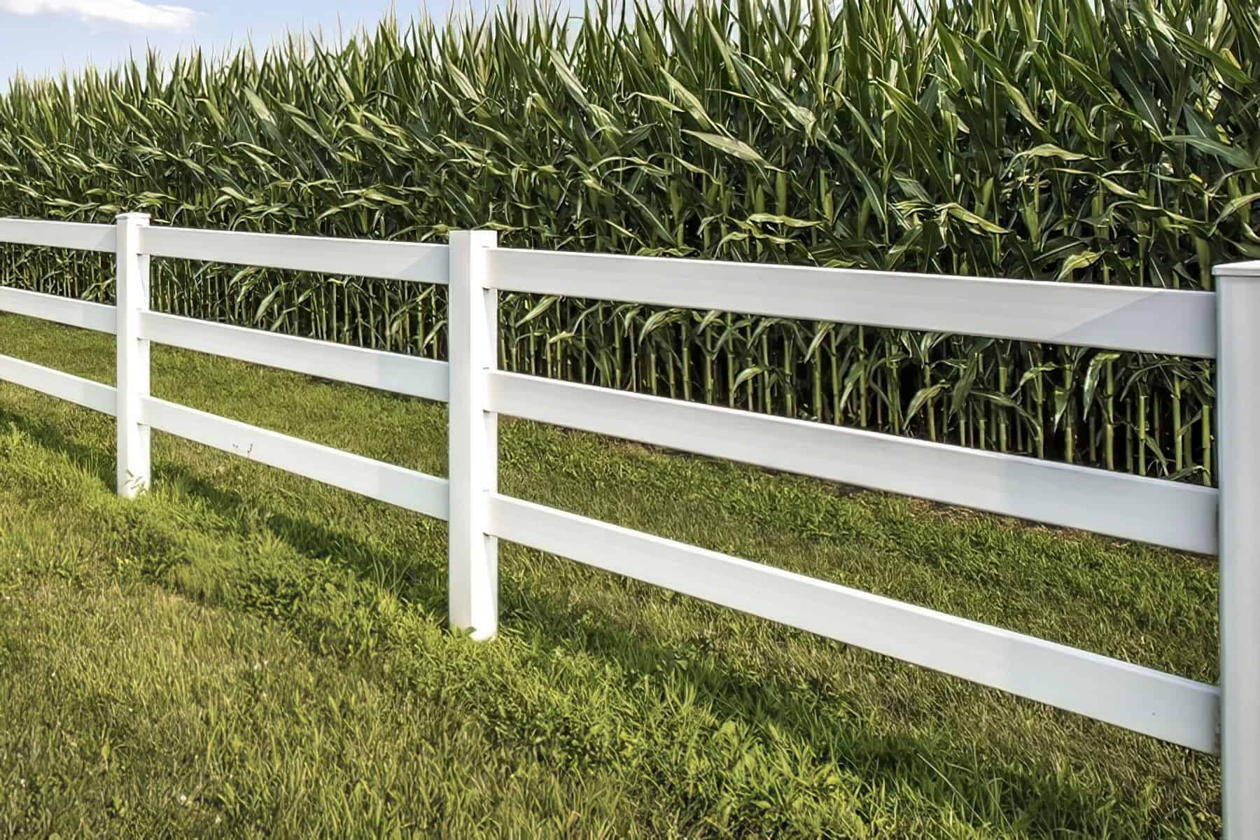 Vinyl 3-rail ranch fence with corn field, grassy lawn, trees, and horse in the background under a clear sky.