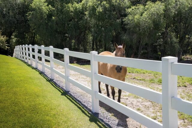 Vinyl 3-rail ranch fence in country setting with open grassy field, clear sky, trees, and horse in background.