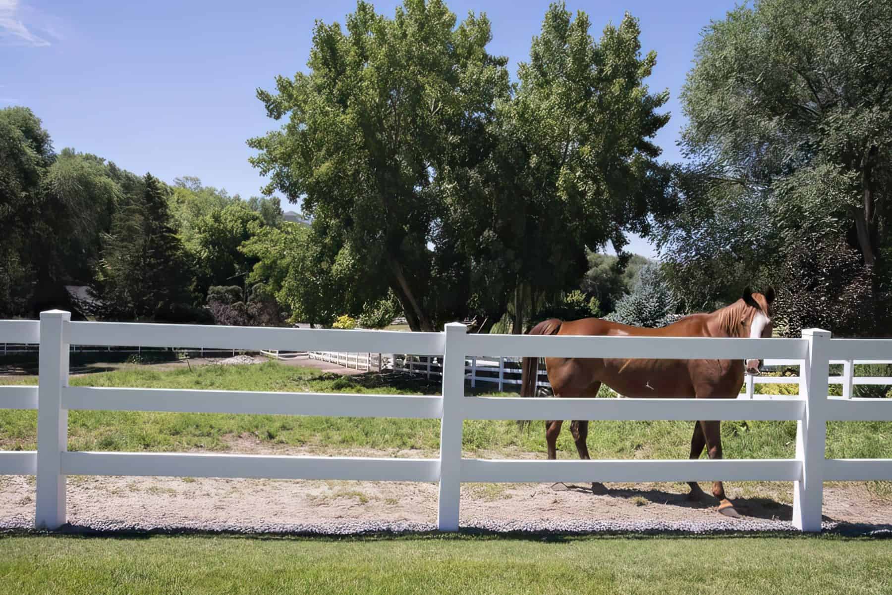 Vinyl 3-rail ranch fence in serene country setting, open field, clear sky, trees, and a horse grazing in the background.