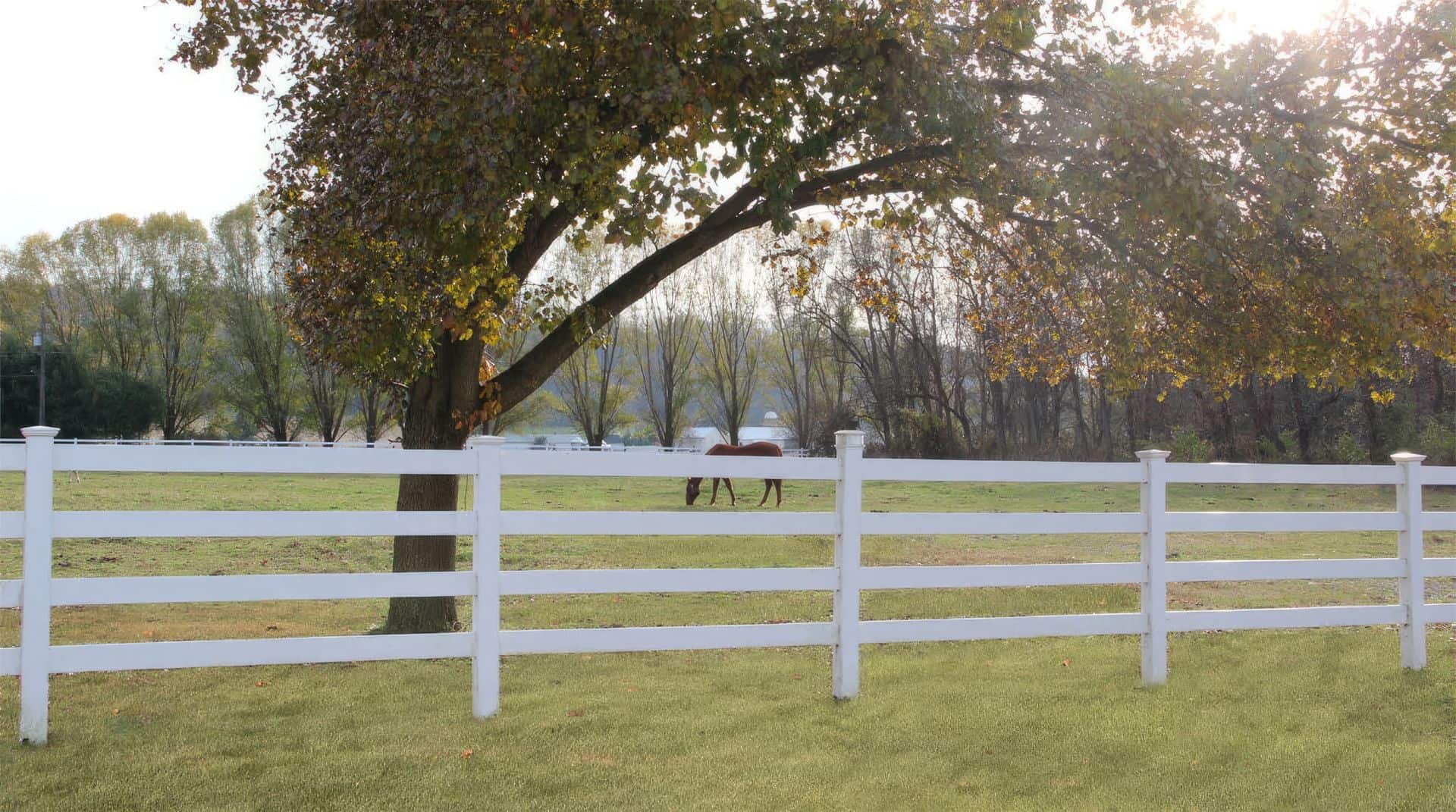 Country home with vinyl 4-rail ranch fence, front lawn, open field, trees, and farm animals in background of a serene setting